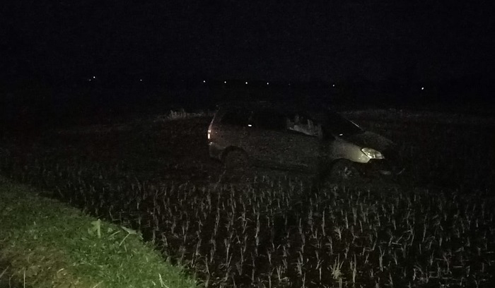 Mobil Toyota Innova masuk ditengah sawah, Rabu (24/1/2024).(dok. Satlantas Polsek Rogojampi untuk blok-a.com)