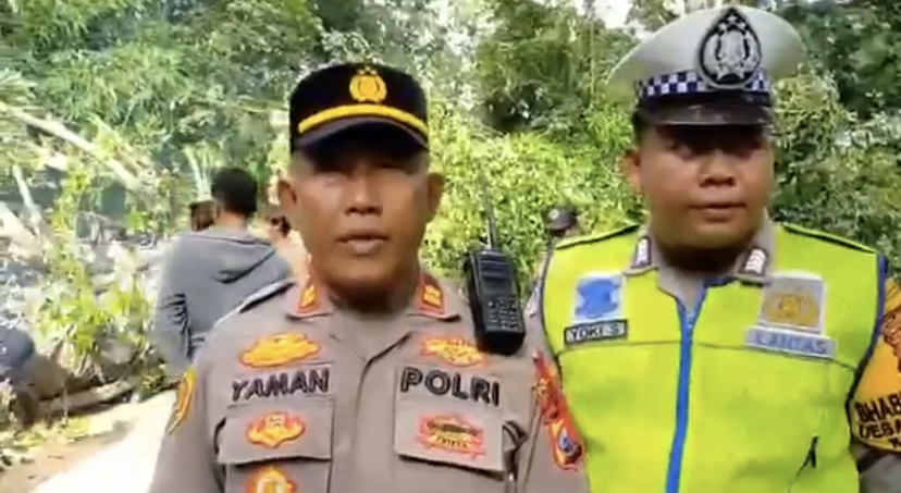 Caption : Kapolsek Kalibaru, Iptu Yaman Adinata saat mengevakuasi pohon beringin tumbang di jalur Gumitir bersama warga, Minggu (11/2/2024) sore. (blok-a.com/Kuryanto).