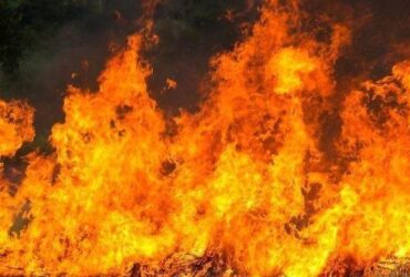 Ilustrasi kebakaran. (Freepic)