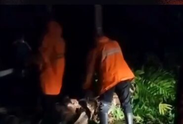 Proses evakuasi pohon tumbang di Jalan Raya Srono, Desa Kebaman, Kecamatan Srono, Jumat (8/3/2024).(blok-a.com/Kuryanto)