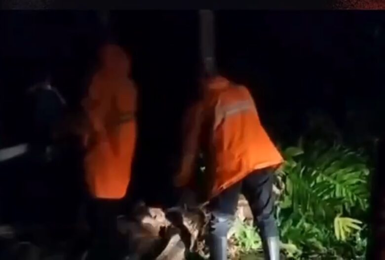 Proses evakuasi pohon tumbang di Jalan Raya Srono, Desa Kebaman, Kecamatan Srono, Jumat (8/3/2024).(blok-a.com/Kuryanto)