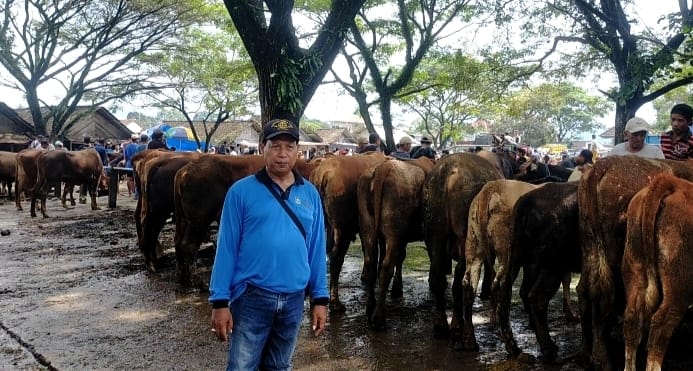 Koordinator Pasar Hewan Glenmore saat memberikan keterangan pada blok-a.com, Jumat (19/4/2024).(blok-a.com/Kuryanto)