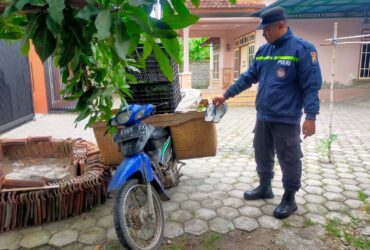 Caption : Petugas Polsek Tegaldlimo saat mengamankan BB kasus curat buah naga yang terjadi di Dusun Persen, Desa Kedungasri, Sabtu (22/6/2024)(blok-a.com/Kuryanto).
