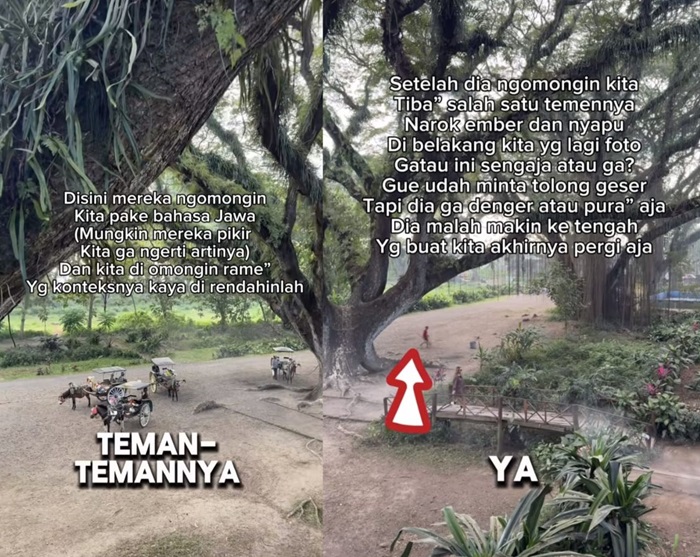 Tangkapan layar video TikTok wisatawan yang mengaku terkena scam di De Djawatan Banyuwangi.