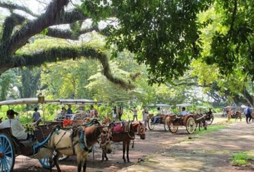 Wisata De Djawatan, Desa Benculuk, Kecamatan Cluring, Banyuwangi.(blok-a.com/Kuryanto)