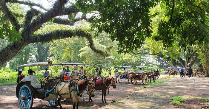 Wisata De Djawatan, Desa Benculuk, Kecamatan Cluring, Banyuwangi.(blok-a.com/Kuryanto)