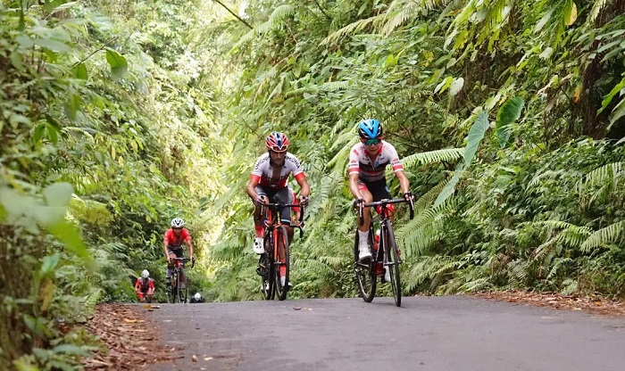 Pembalap sepeda di tanjakan rute ITdBI Banyuwangi 2024.