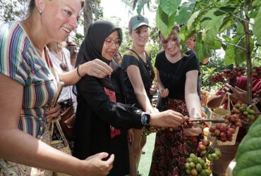 Bupati Banyuwangi Ipuk di Festival Kopi Kalibaru.(dok. Pemkab Banyuwangi)