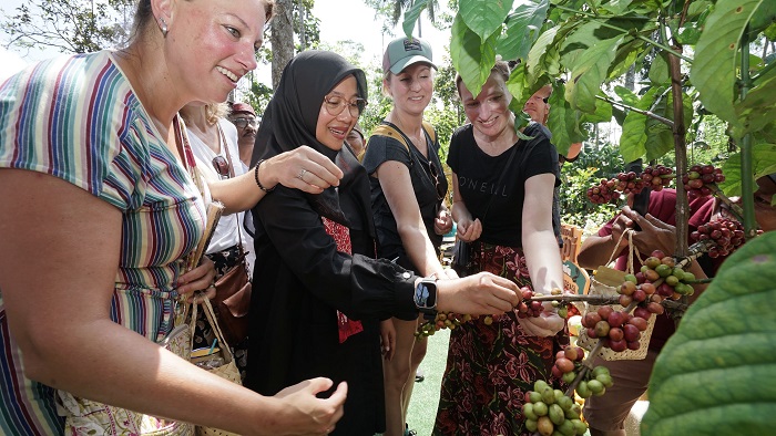 Bupati Banyuwangi Ipuk di Festival Kopi Kalibaru.(dok. Pemkab Banyuwangi)