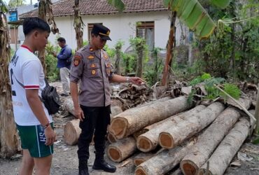 Kapolsek Purwoharjo, Iptu Edi Wahono bersama anggota dan petugas Perhutani wilayah Kecamatan Purwoharjo, pasca lakukan pengamanan 6 batang kayu jati ilegal, Rabu (11/9/2024).(blok-a.com/Kuryanto)