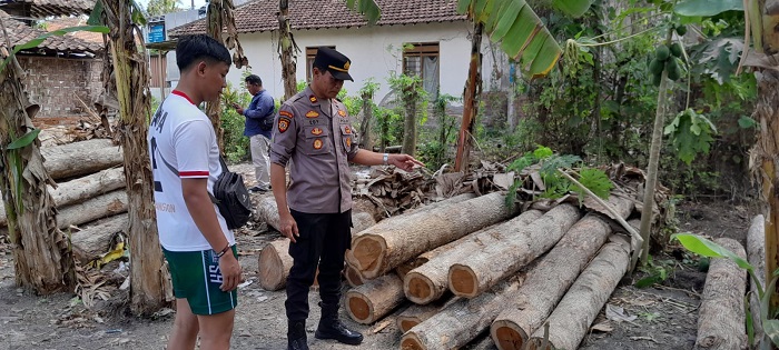 Kapolsek Purwoharjo, Iptu Edi Wahono bersama anggota dan petugas Perhutani wilayah Kecamatan Purwoharjo, pasca lakukan pengamanan 6 batang kayu jati ilegal, Rabu (11/9/2024).(blok-a.com/Kuryanto)