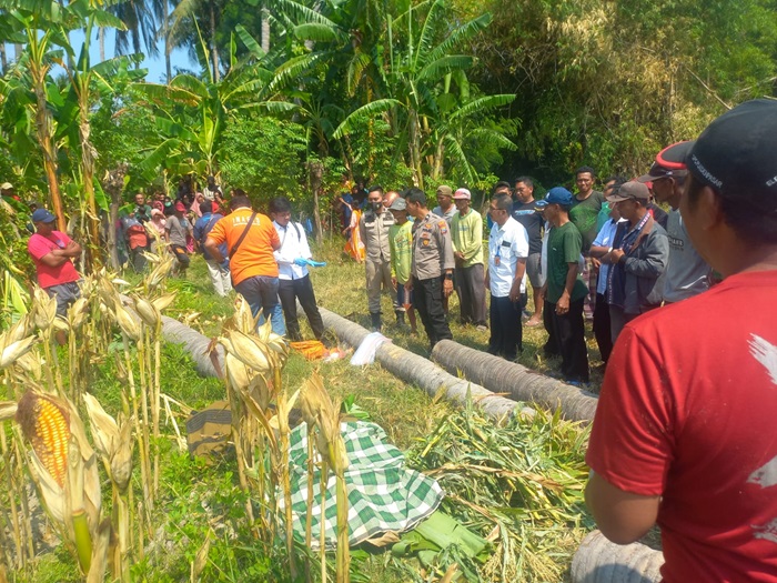 TKP korban tertimpa pohon kelapa usai mencari rumput di Desa Gebangan, Kecamatan Kapongan, Kabupaten Situbondo.