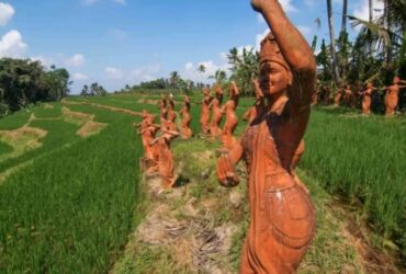 Kawasan lereng Gunung Ijen Banyuwangi.(istimewa)