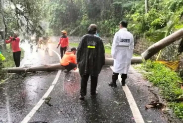 Personel Polsek Glagah bersama satu unit Tim TRC BPBD Banyuwangi, serta dibantu perangkat Desa Kenjo saat mengevakuasi pohon tumbang yang menutup arus lalu lintas yang menghubungkan Kecamatan Glagah dengan Kecamatan Licin, Kamis (12/2/2026)
