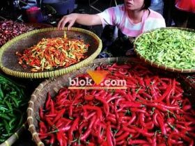 Pasca Lebaran 2026, harga bapokting di Pasar Tradisional atau Pasar Daerah Banyuwangi alami penurunan, Jum'at (27/3/2026)(blok-a.com/Kuryanto)