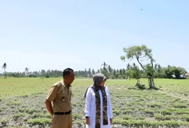 Bupati Ipuk saat tinjau salah satu wilayah yang mulai alami kekeringan (foto: ist)