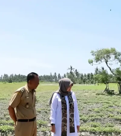 Bupati Ipuk saat tinjau salah satu wilayah yang mulai alami kekeringan (foto: ist)