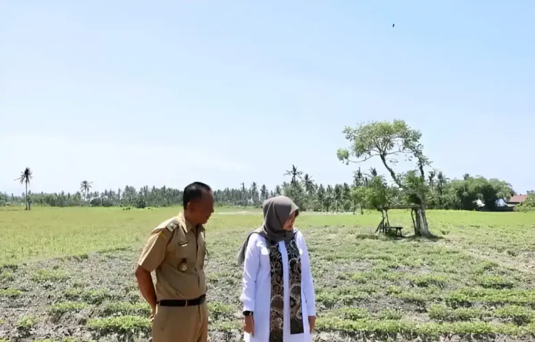 Bupati Ipuk saat tinjau salah satu wilayah yang mulai alami kekeringan (foto: ist)