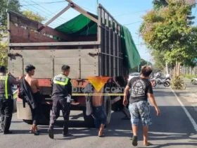 Polisi dibantu warga saat melakukan evakuasi truk gandeng yang mengalami laka tunggal di Jalan Gajah Mada, Kecamatan Giri, Banyuwangi, Jum'at (10/4/2026) (foto: Blok-a.com/Kuryanto)