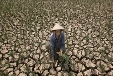 Ilustrasi: petani terdampak musim kemarau