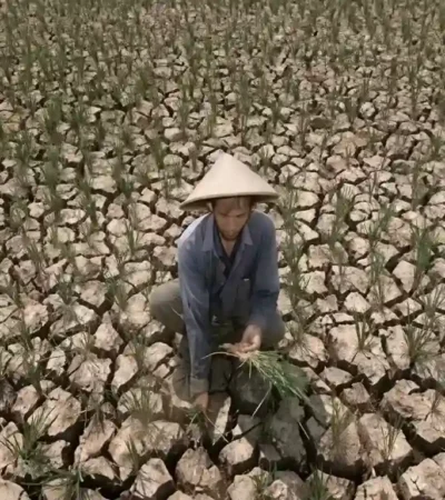 Ilustrasi: petani terdampak musim kemarau