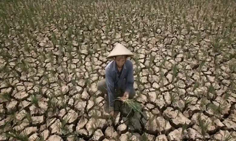 Ilustrasi: petani terdampak musim kemarau