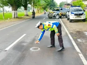 Polisi saat lakukan olah TKP Lakalantas beruntun yang melibatkan dua sepeda motor dan satu sepeda Gayung, di Jalan Raya Srono yang mengakibatkan seorang pengendara tewas di tempat, Jumat (12/6/2026) (foto: Blok-a.com/Kuryanto)