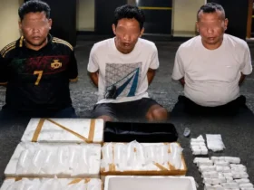 Tiga tersangka bersama barang bukti 23 ribu benih lobster ilegal yang akan diselundupkan ke Jakarta (foto: Blok-a.com/Istimewa)
