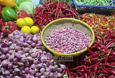 Awal Juli, harga cabai Pasar Daerah Genteng I anjlok, Rabu (01/07/2026)(foto: Blok-a.com/Kuryanto)