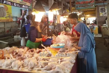 Harga ayam potong di Pasar Tradisional Banyuwangi tembus Rp40.000/kg, Kamis (20/08/2026) (foto: blok-a.com/Kuryanto)