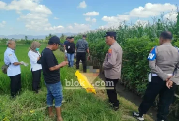 Petugas Polsek Tegalsari saat mengevakuasi jenazah Siti Maesaroh, wanita lansia yang ditemukan tewas di dalam parit area persawahan, Rabu (12/08/2026) (foto: Blok-a.com/Kuryanto)