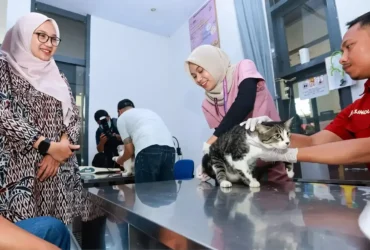 Bupati Ipuk tinjau RSH Banyuwangi yang kini sudah dilengkapi Unit Layanan Khusus Penyakit Dalam dan Bedah Hewan. (Foto: dok Humas Pemkab)