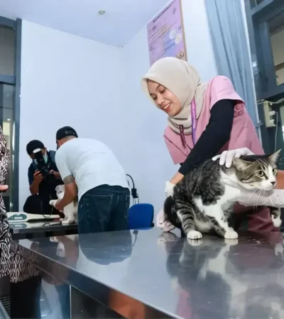 Bupati Ipuk tinjau RSH Banyuwangi yang kini sudah dilengkapi Unit Layanan Khusus Penyakit Dalam dan Bedah Hewan. (Foto: dok Humas Pemkab)