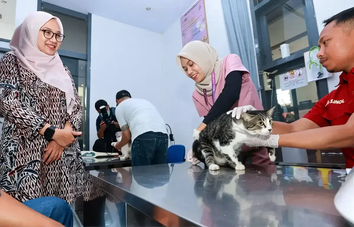 RSH Banyuwangi Sudah Dilengkapi Layanan Khusus Penyakit Dalam dan Bedah Hewan