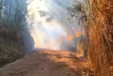 Imbas kebakaran hutan, BBKSDA Jatim tutup jalur pendakian TWA Kawah Ijen (foto: Istimewa)
