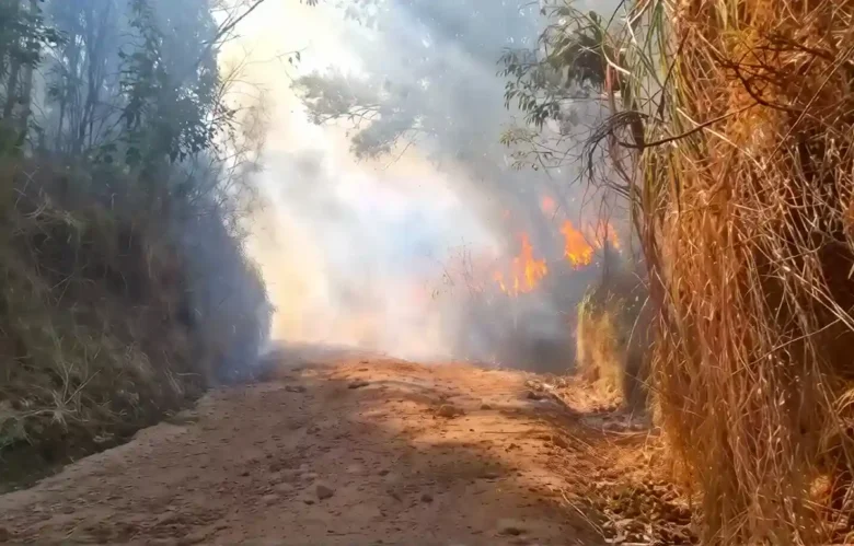 Imbas kebakaran hutan, BBKSDA Jatim tutup jalur pendakian TWA Kawah Ijen (foto: Istimewa)