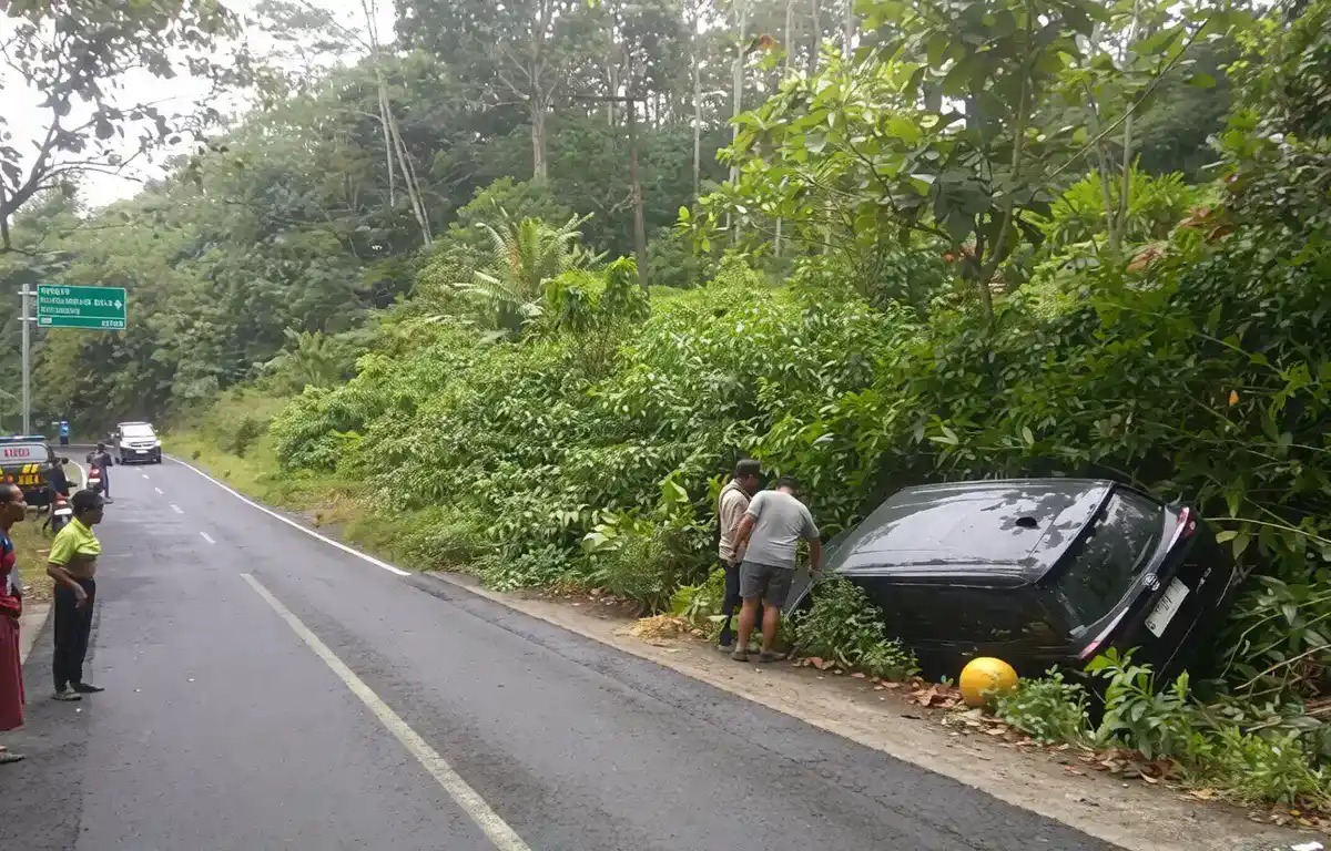 Hindari Hewan Menyeberang, Mobil Xenia Terperosok Parit di Jalan Raya Ijen, Banyuwangi