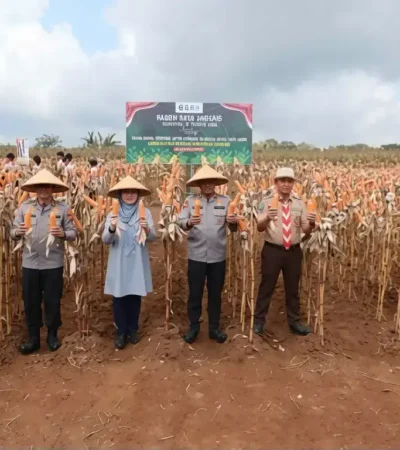Kapolda Jatim Irjen Pol Nanang Avianto bersama Bupati Banyuwangi Ipuk Fiestiandani saat panen raya jagung di kawasan Green Farm, Desa Karangsari, Kecamatan Sempu, Jumat (11/09/2026) (foto: Istimewa)