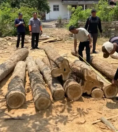 Petugas Perhutani saat melakukan pengamanan temuan 16 batang kayu jati diduga ilegal, Jum'at (02/10/2026) (foto: Istimewa)