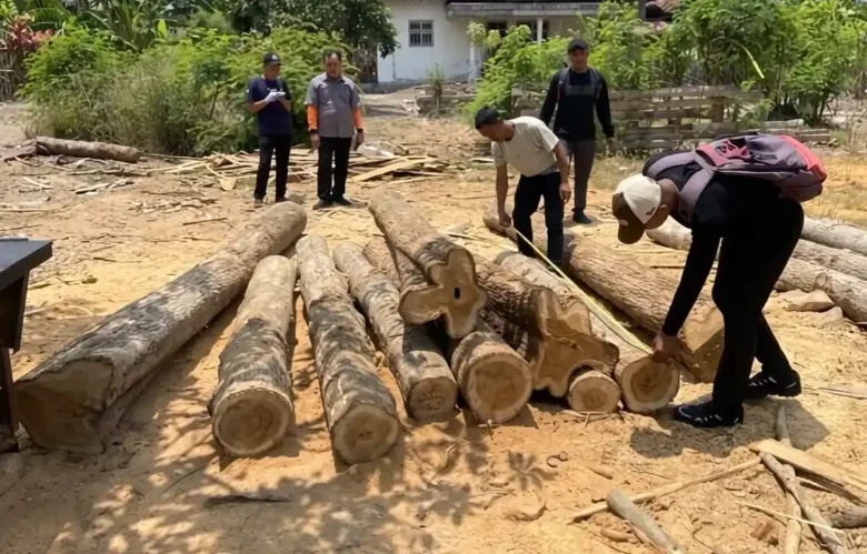 Petugas Perhutani saat melakukan pengamanan temuan 16 batang kayu jati diduga ilegal, Jum'at (02/10/2026) (foto: Istimewa)